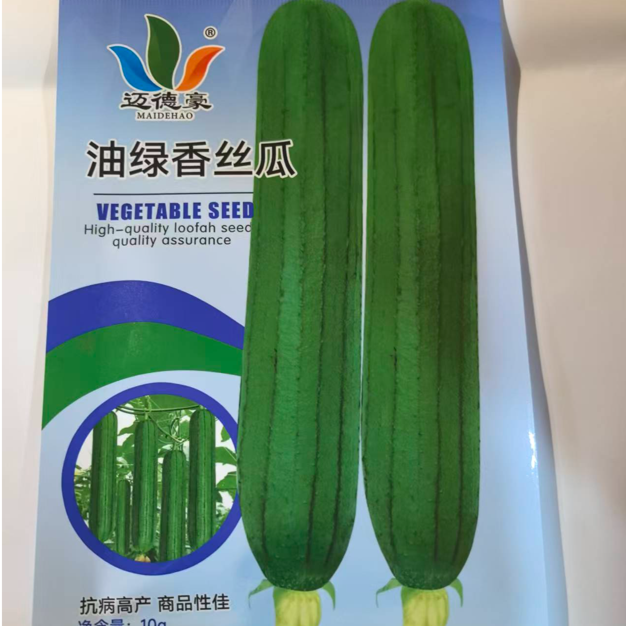 油绿香丝瓜种子早熟瓜皮绿色油亮瓜圆简形肉厚香味浓品质好口感佳