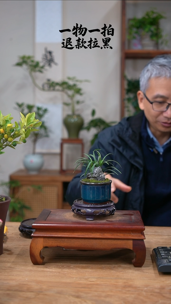 完全开放✨****✨495玉龙草