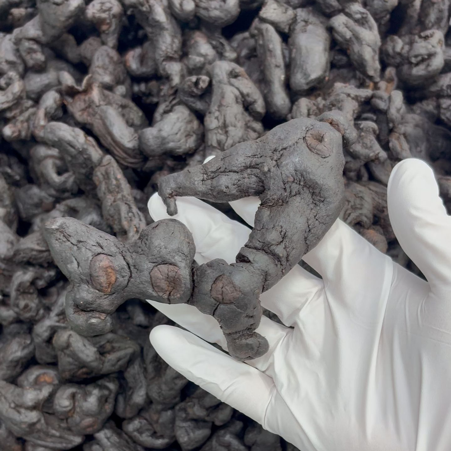 精选九蒸九晒仙人余粮古法制作