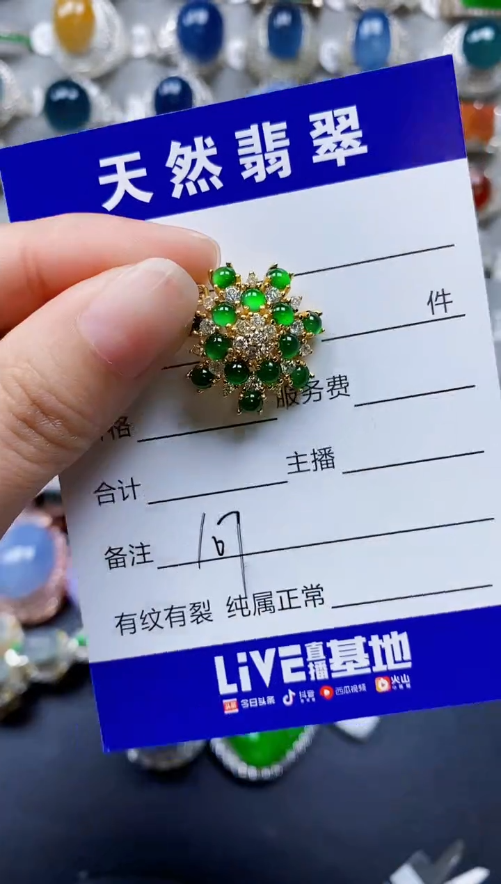 翡翠银S925镶嵌颈饰0107