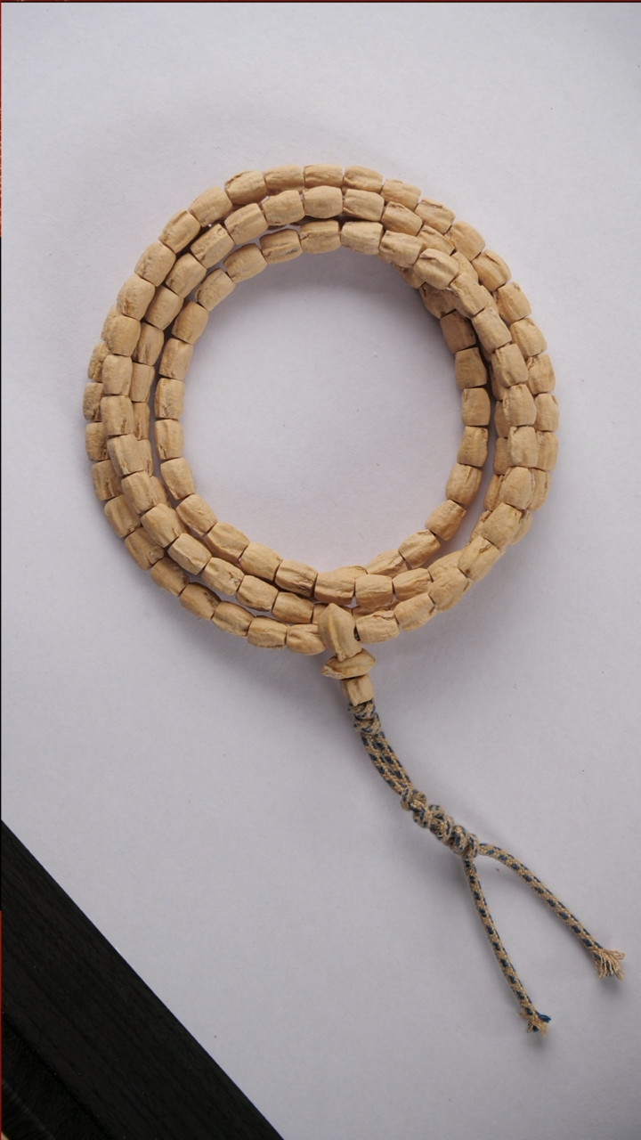【闪购商品】柏香籽/百香籽吊坠大长腿柏香籽长串