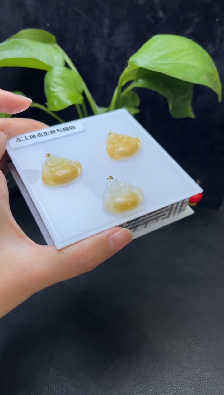 【闪购商品】翡翠颈饰18K金镶嵌356-24061501B多样性发一件