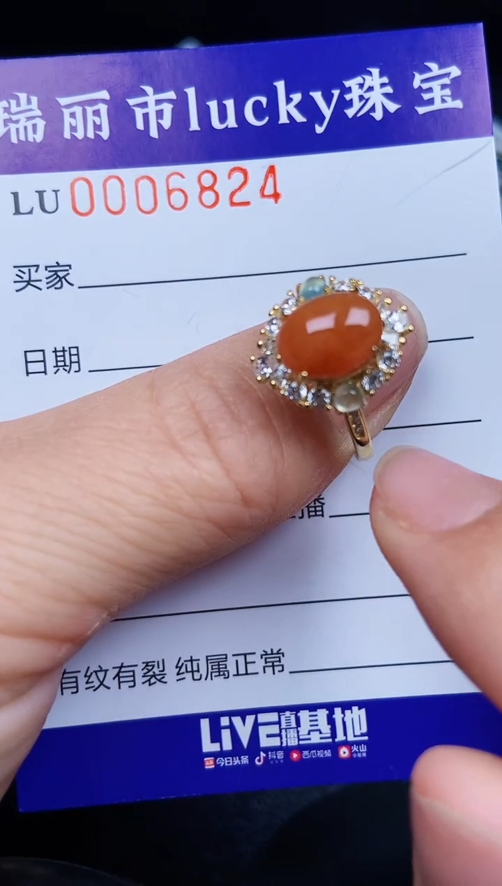 翡翠银S925镶嵌颈饰6824