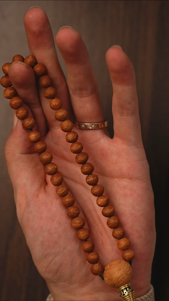 手串凤眼菩提S01酸枣核大眼萌单圈