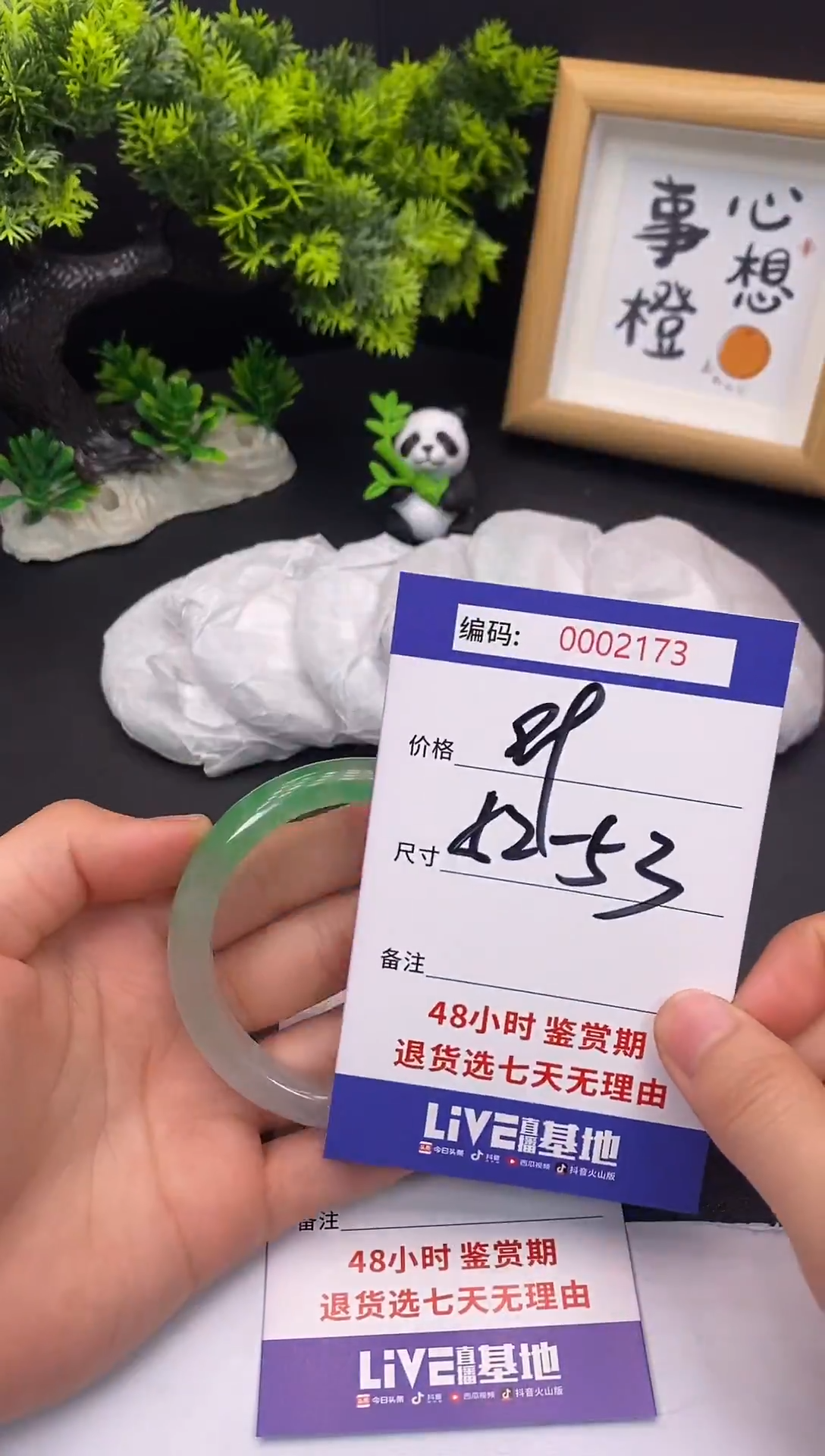 未镶嵌手镯翡翠0002173