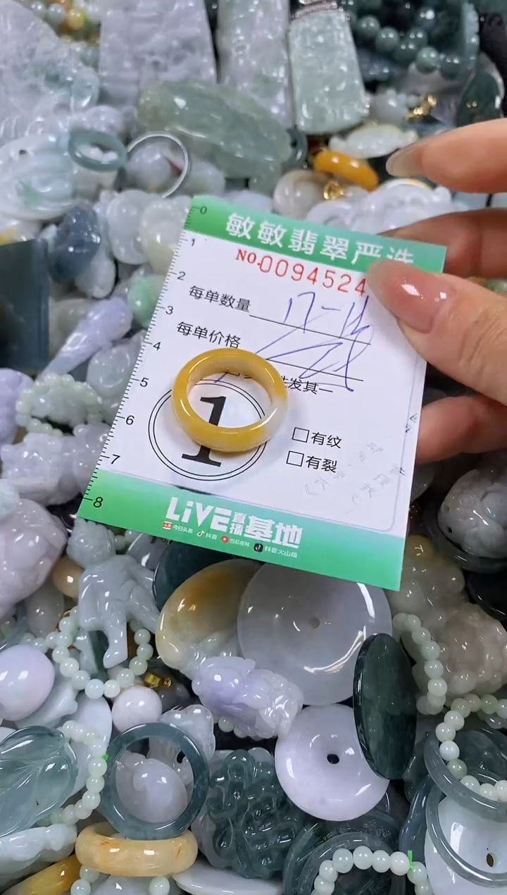 【闪购商品】翡翠颈饰未镶嵌闪购0094524多样性发其一