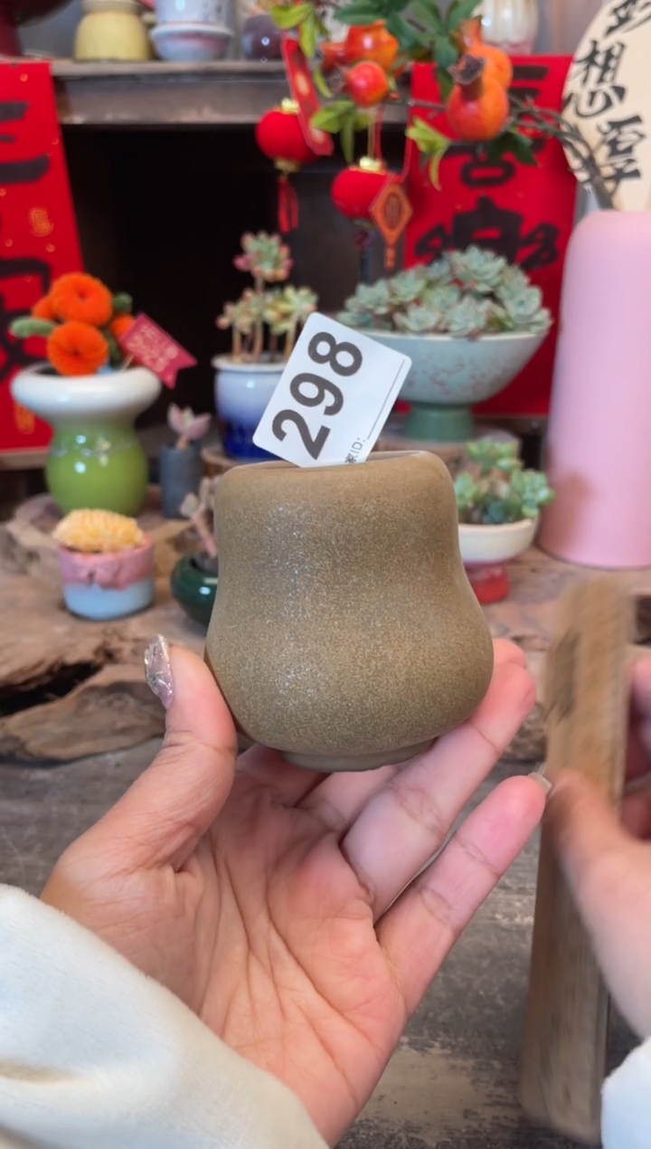 【闪购商品】摆件298知木小芳花盆