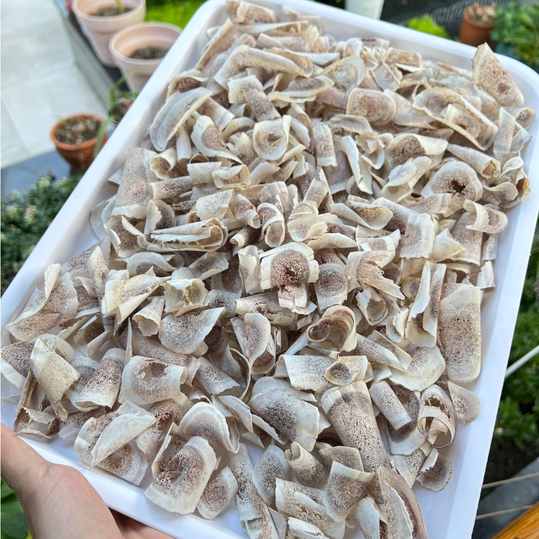 禧利行 熟茸 鹿角片 鱼胶