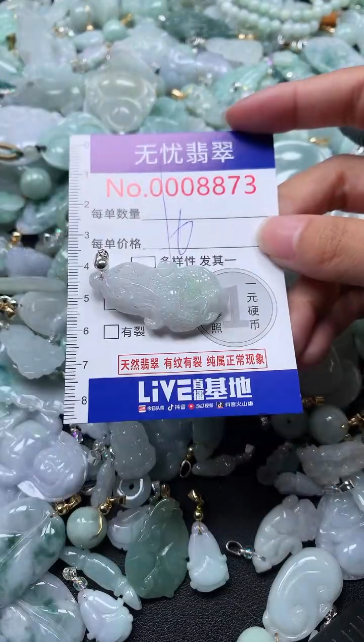 颈饰未镶嵌翡翠8873