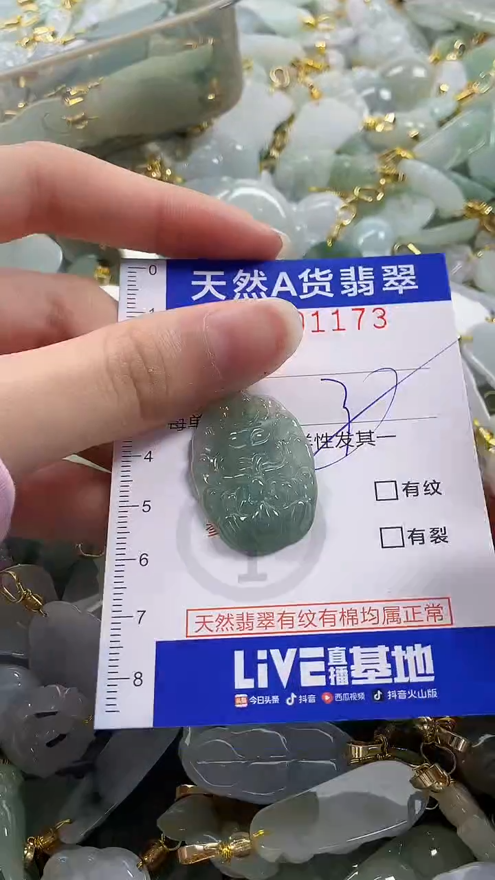颈饰未镶嵌翡翠纯天然a货翡翠