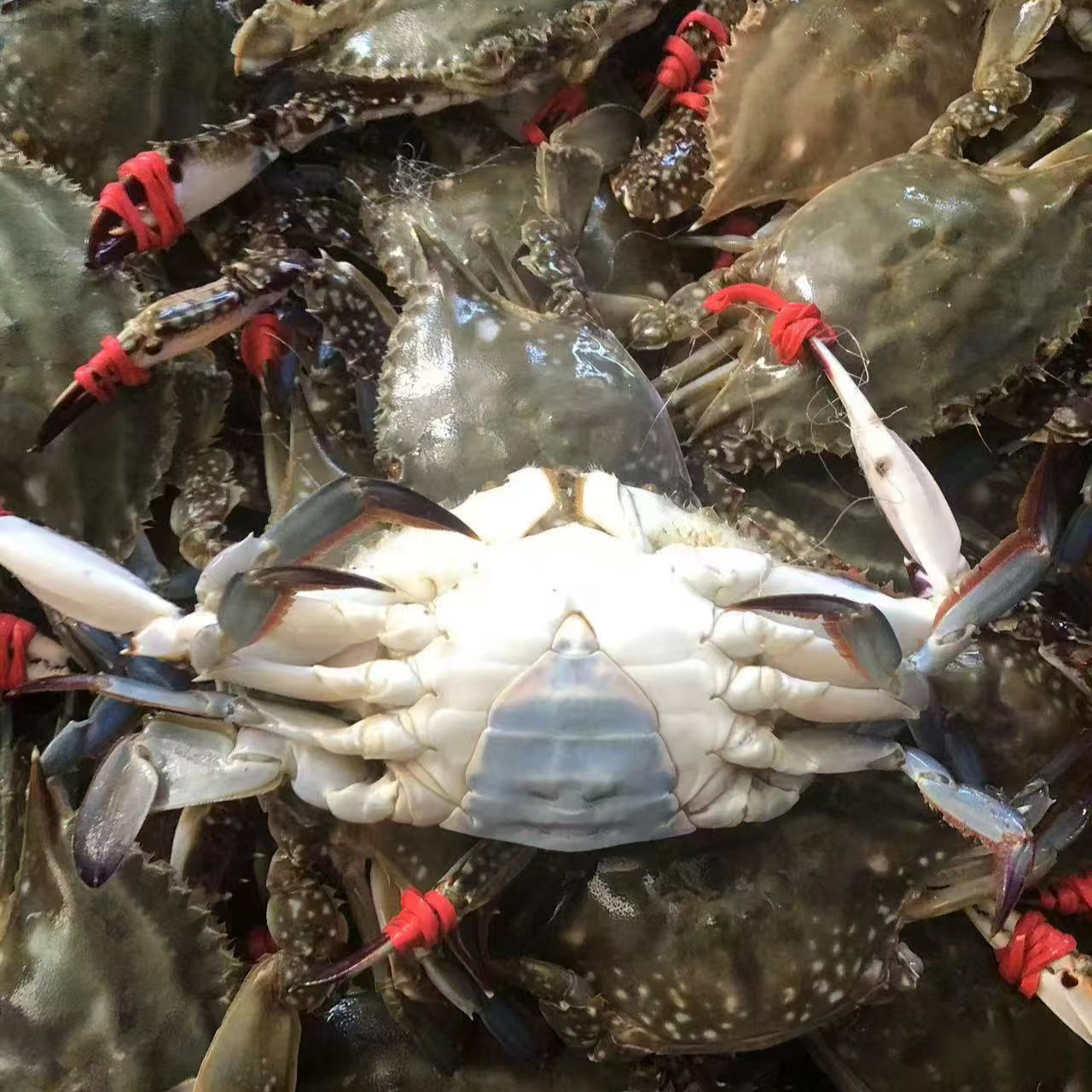 【保鲜不保活】八九十分肥小三角蟹 2两左右/只3斤装不保腿全微吐水
