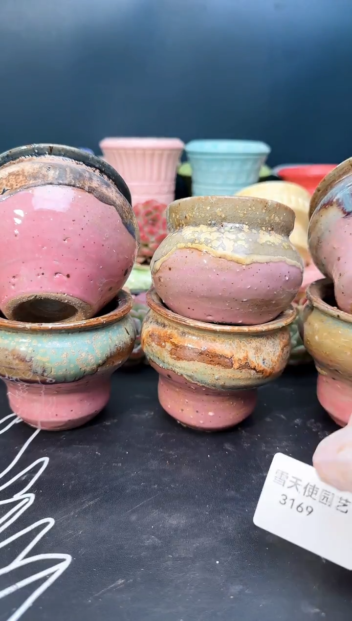 3 169   盆 6  个 默认微瑕