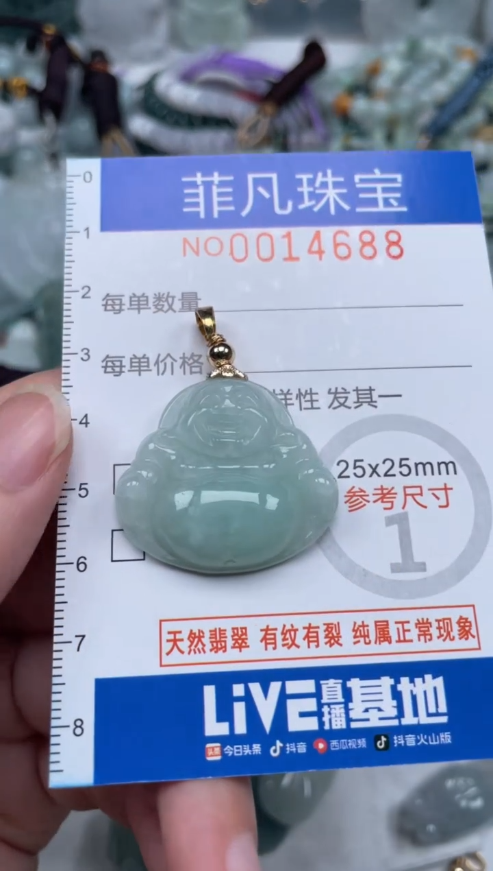 颈饰未镶嵌翡翠14688