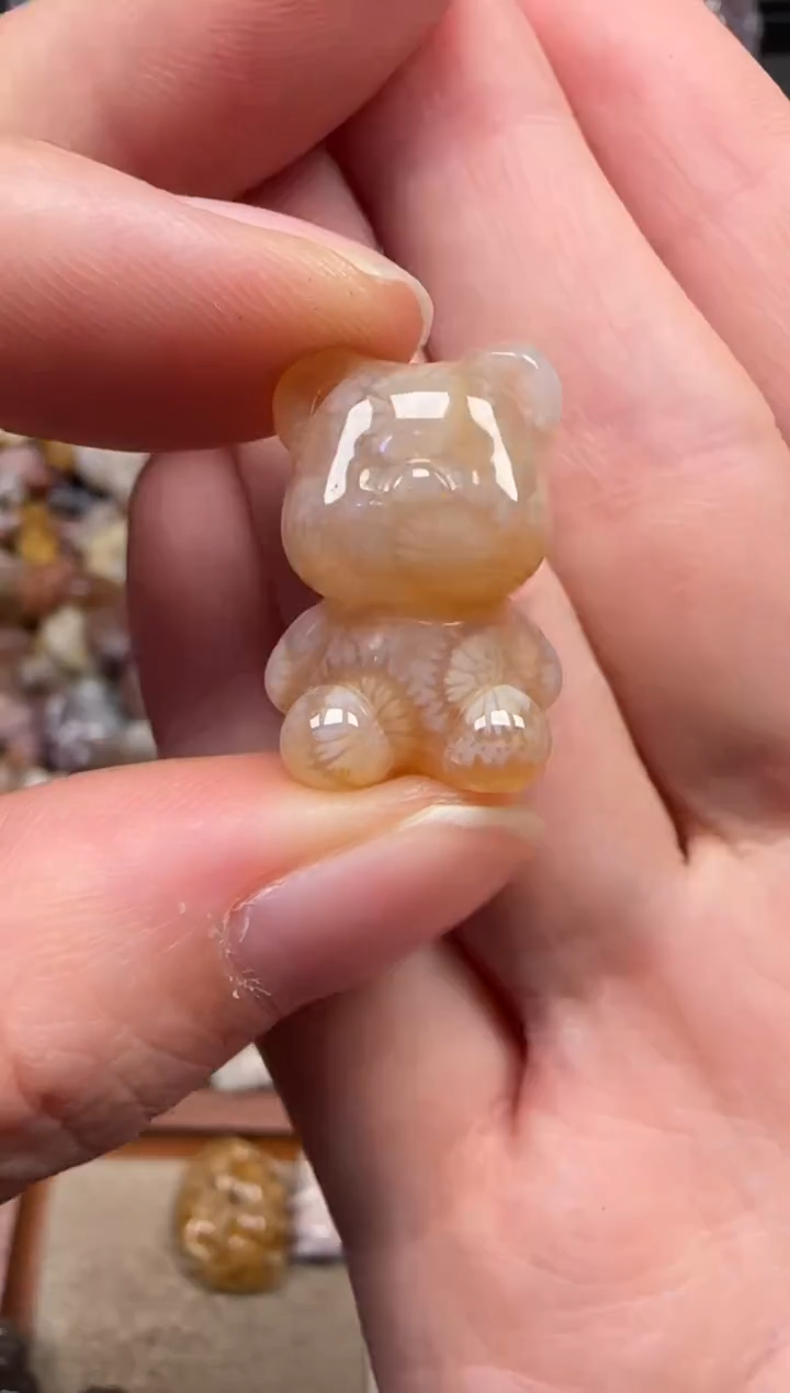 颈饰未镶嵌硅化珊瑚（珊瑚玉）143