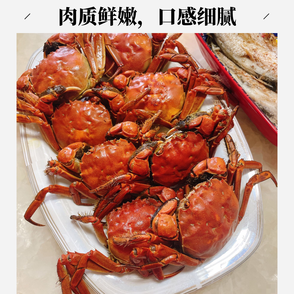 【活蟹】盘锦河蟹（1.5-1.3两/只）净重2斤（15-13只）全母