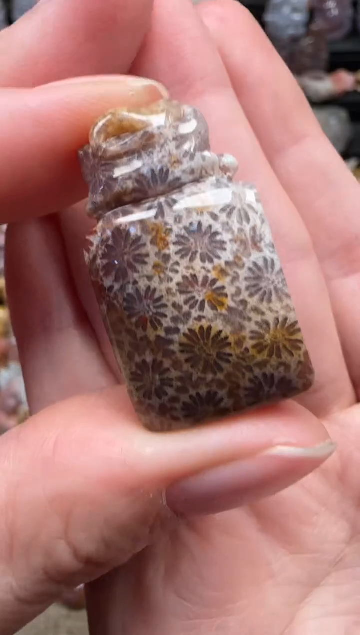 颈饰未镶嵌硅化珊瑚（珊瑚玉）244