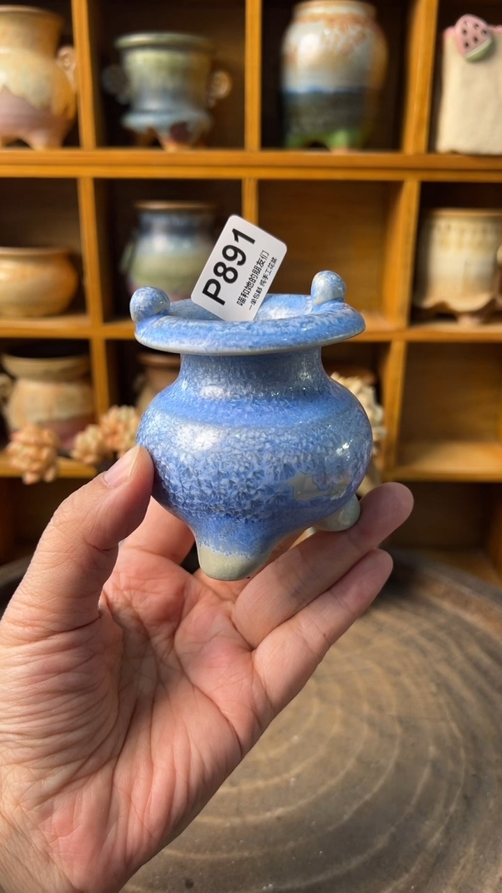 891 内口4【多肉花盆多肉盆】