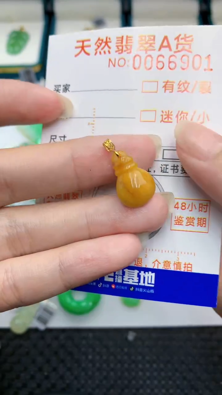 【闪购商品】翡翠颈饰18K金镶嵌            8