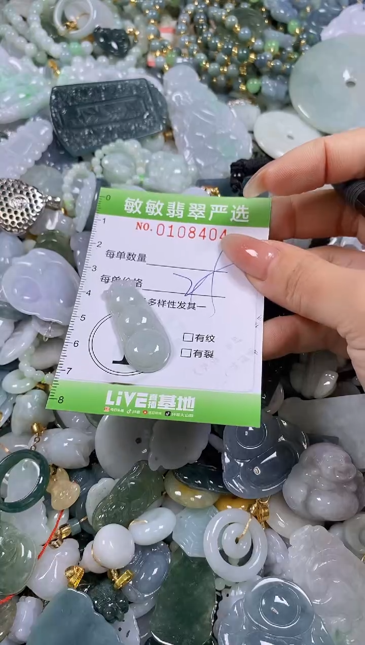 【闪购商品】翡翠颈饰未镶嵌闪购0108404