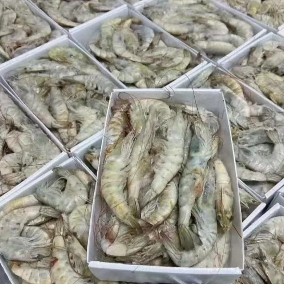 南美白虾白虾净重3.3斤（30-40只左右/kg）顺丰发货