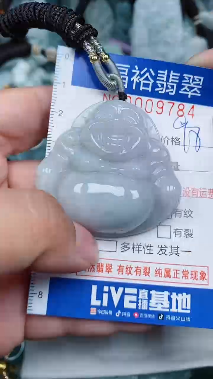 【闪购商品】翡翠颈饰未镶嵌...0009784