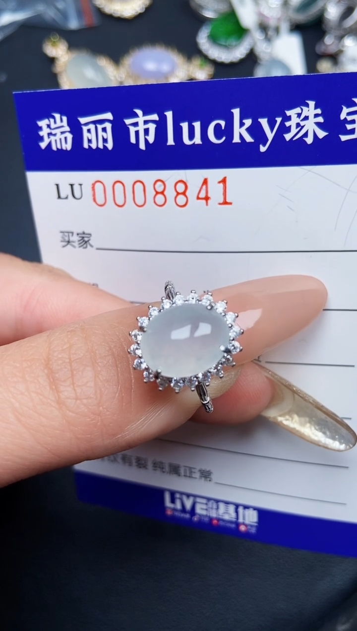 【闪购商品】翡翠颈饰银S925镶嵌8841