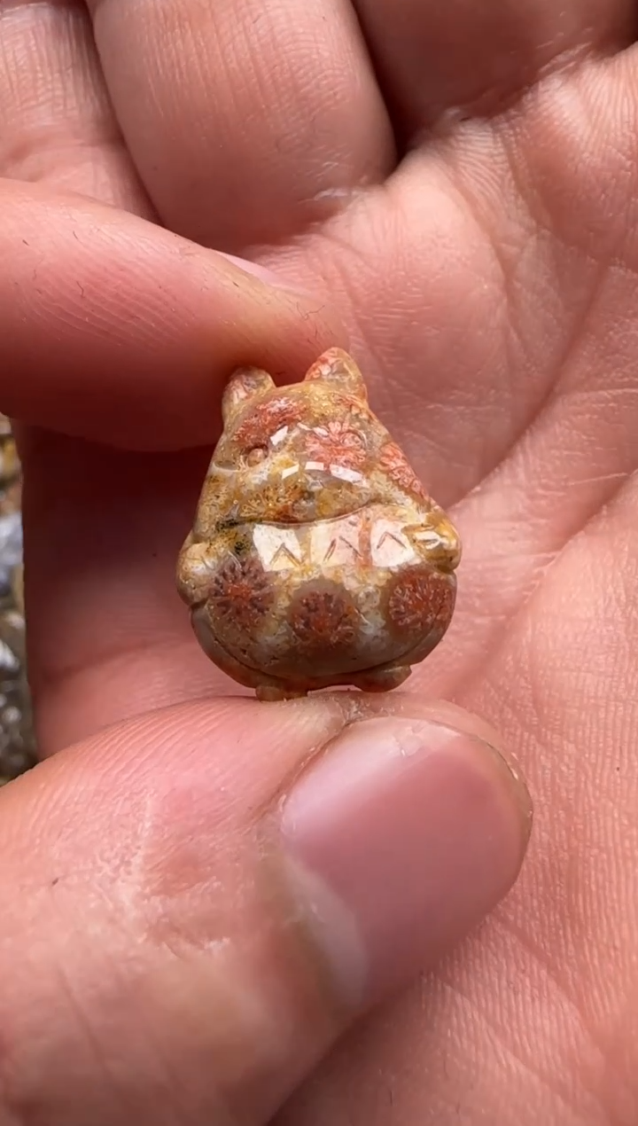 【闪购商品】硅化珊瑚（珊瑚玉）颈饰未镶嵌603