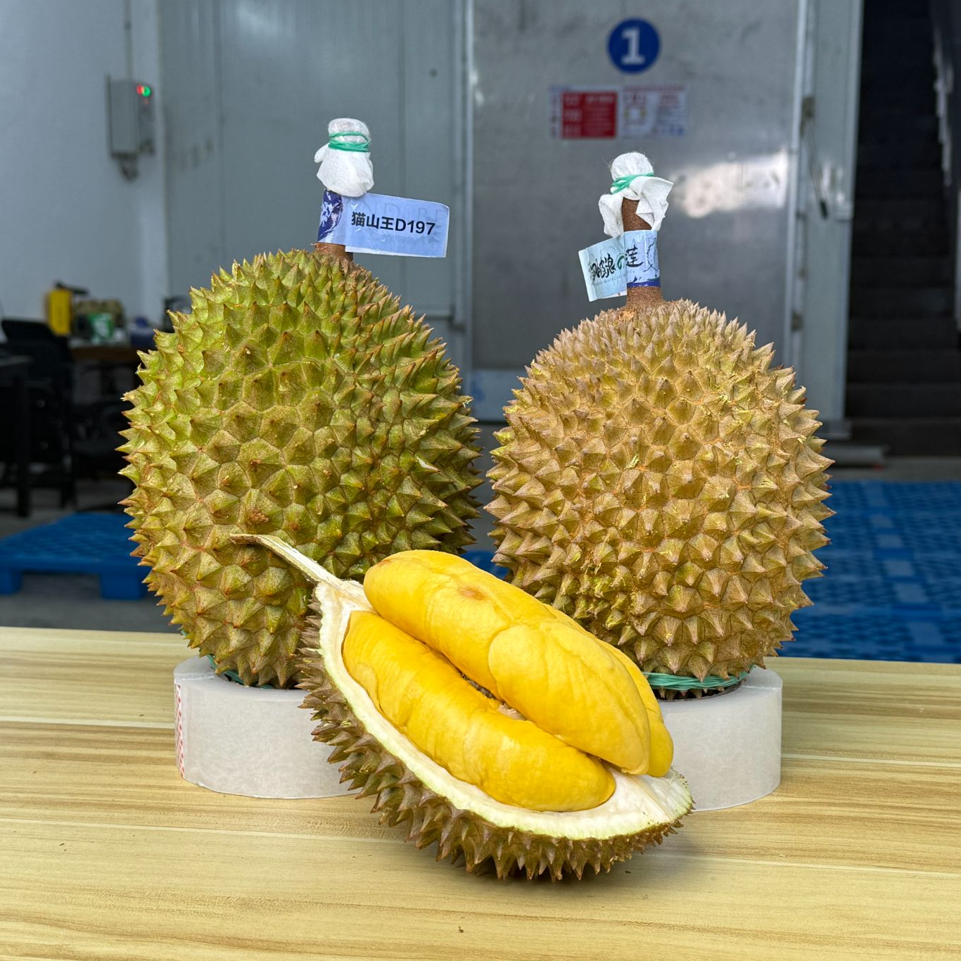 A果2颗实惠装一物一拍 马来西亚Musang King Durian鲜果 保10房