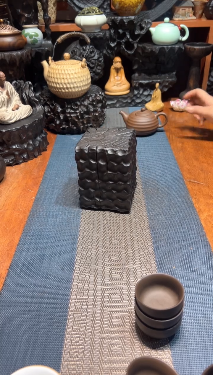 香樟木香樟木一物一拍