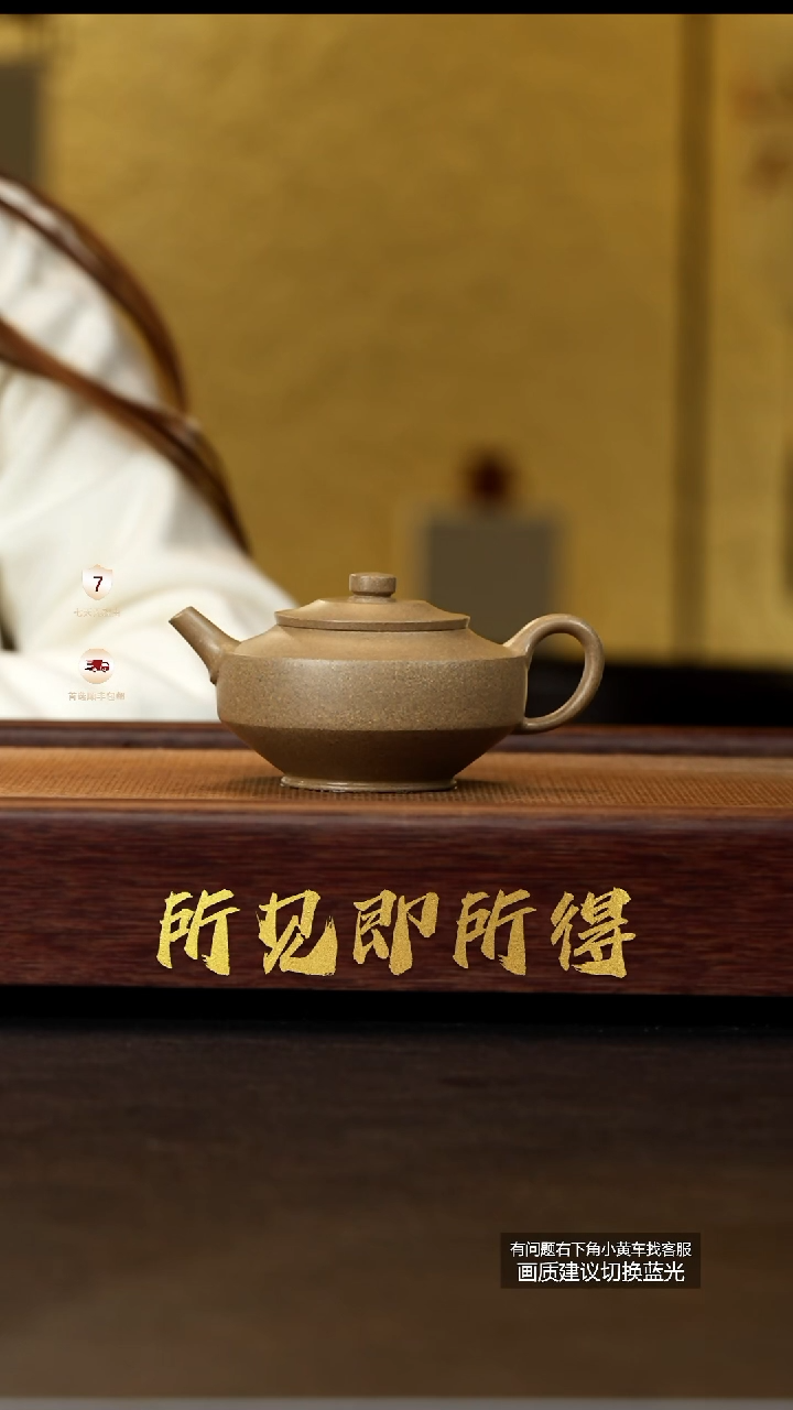 茶壶紫砂范家壶庄原矿大生冰窖青段禅通PK013