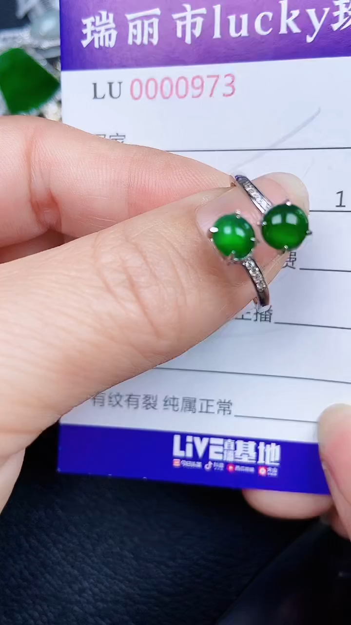 颈饰银S925镶嵌翡翠0973