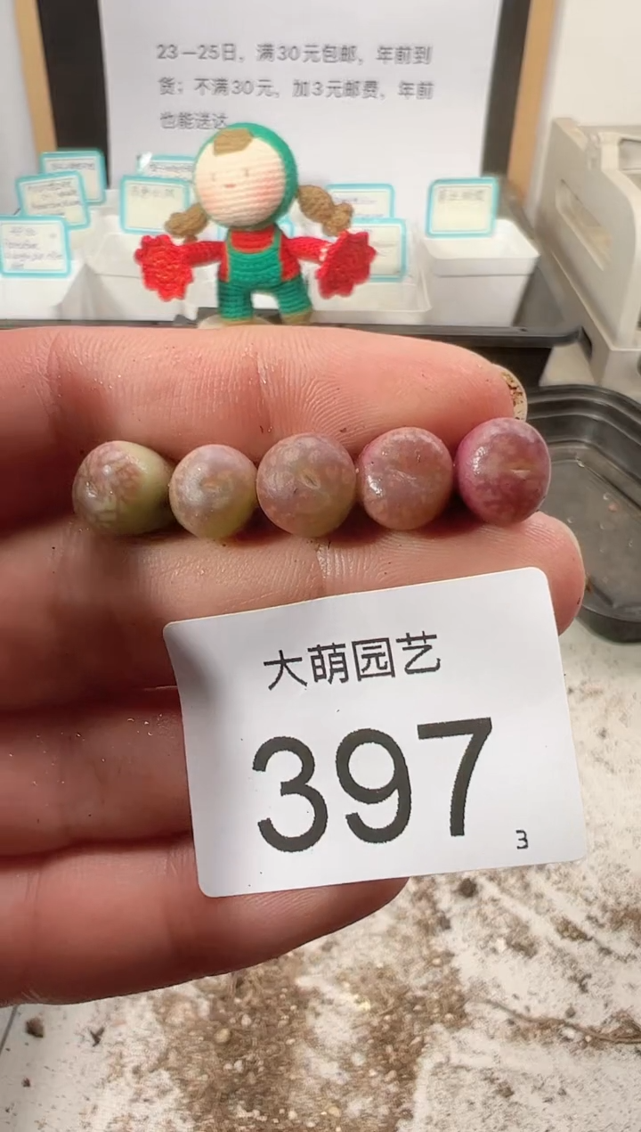 【闪购商品】++++397