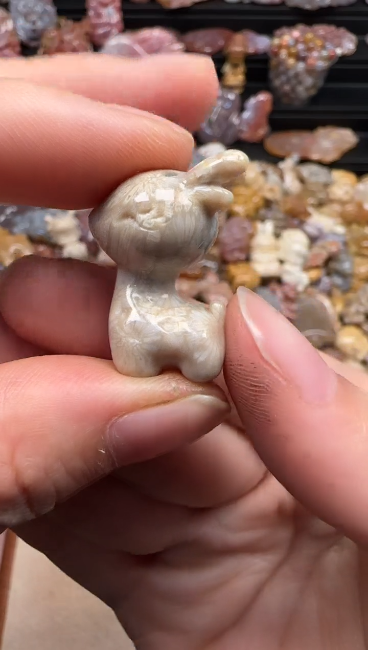 【闪购商品】硅化珊瑚（珊瑚玉）颈饰未镶嵌305