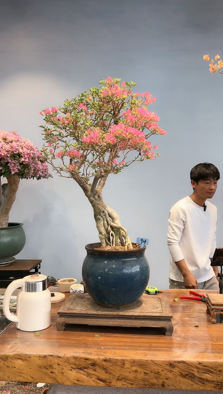 【闪购商品】aa921