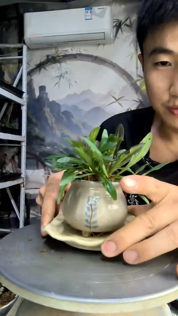 嗷*～中青园艺一物一拍289