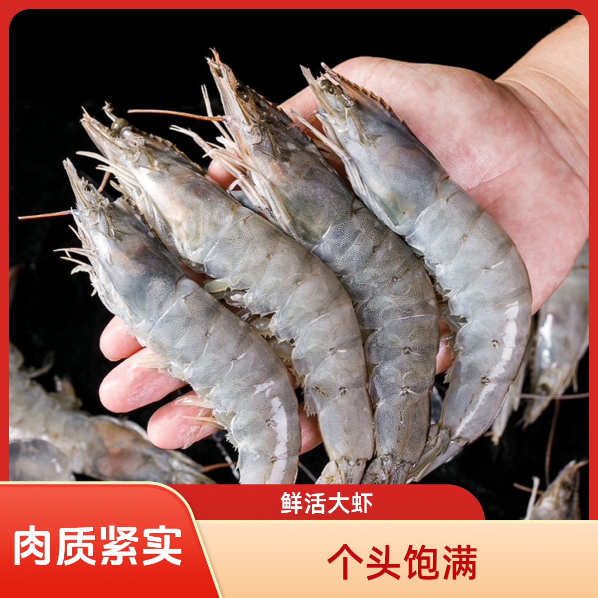 【梦鲜甄选】活体单冻海洋紧实厄瓜多尔白对虾3040规格原盒3斤