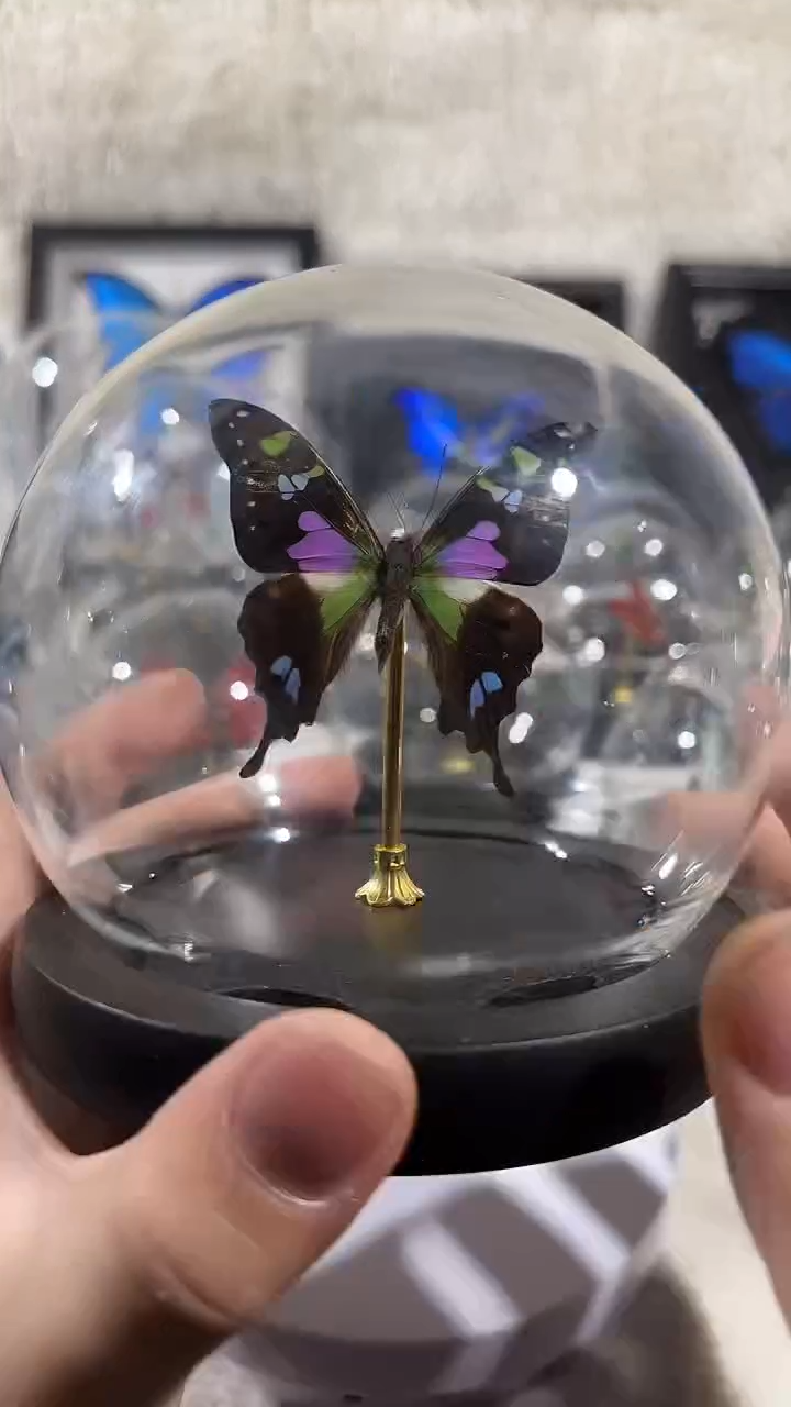 有机玻璃玫瑰清风   