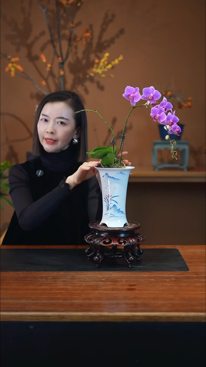 全部花朵粉珠帘盆景盆景盆景