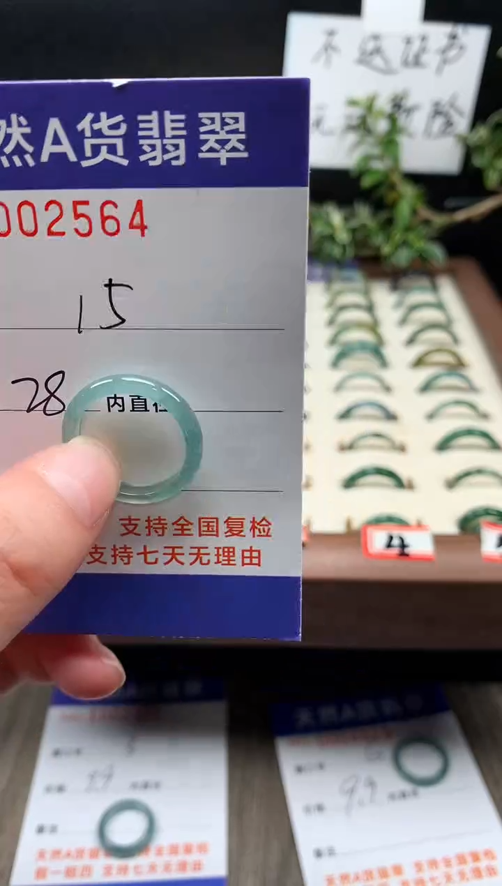 未镶嵌戒指翡翠15#