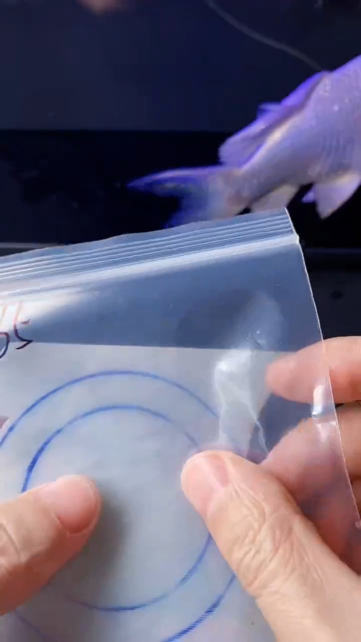 【闪购商品】翡翠颈饰未镶嵌065天然A货翡翠