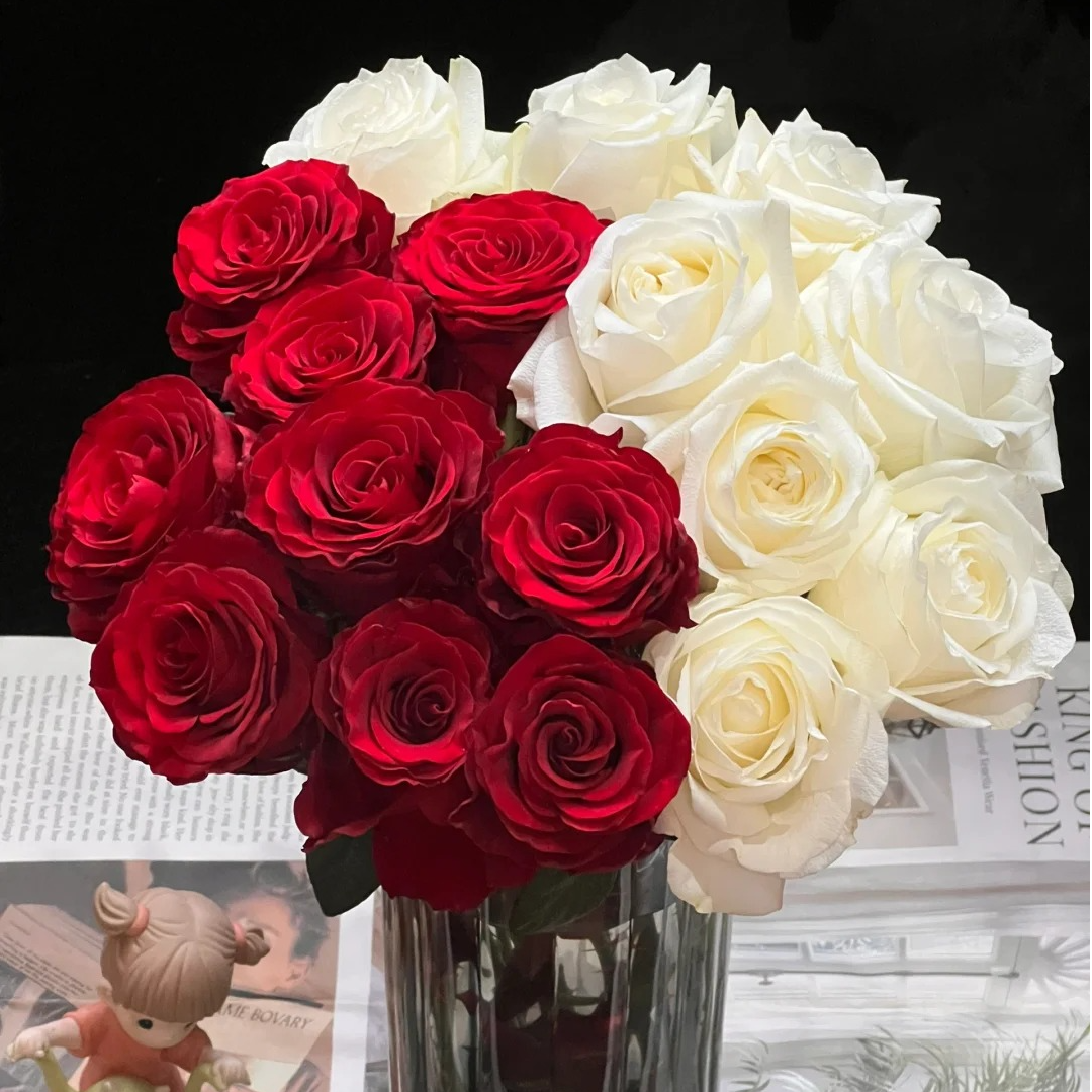 【白月光朱砂痣】娜欧米10枝白雪山10枝甘肃玫瑰全国顺丰包邮视频