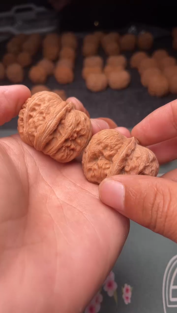 核桃a231  元宝   40尺