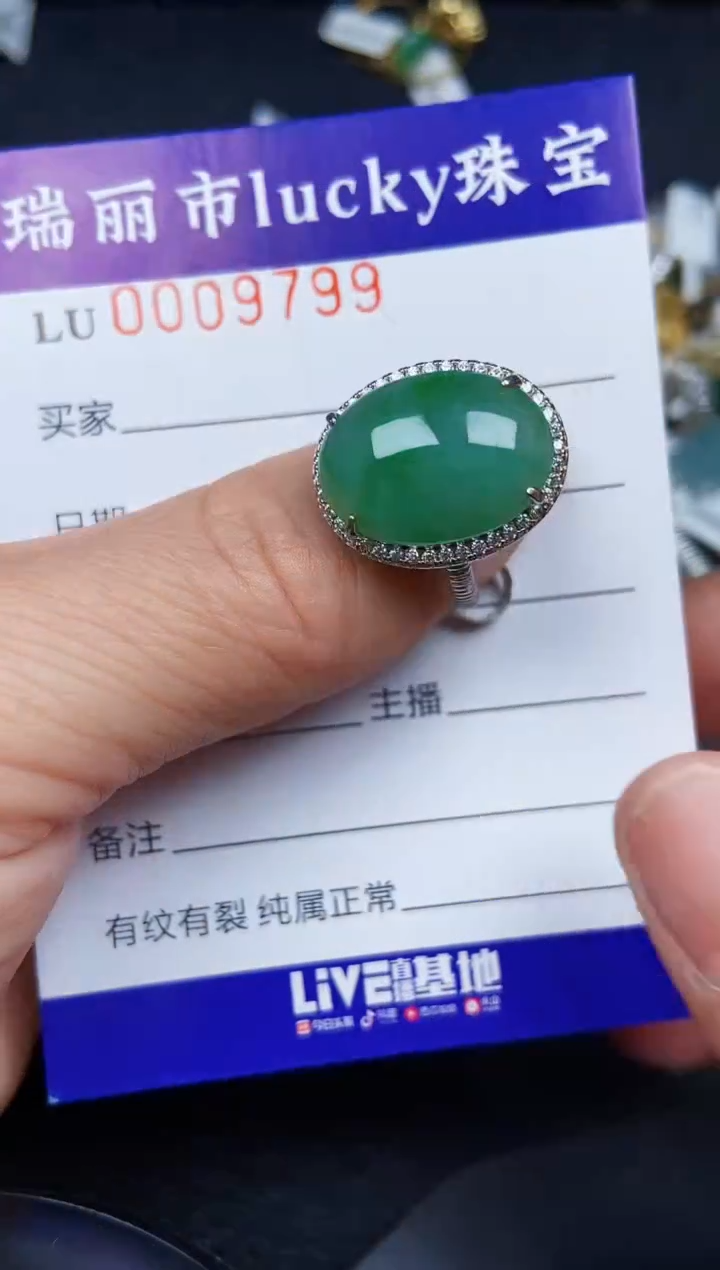 翡翠银S925镶嵌颈饰9799