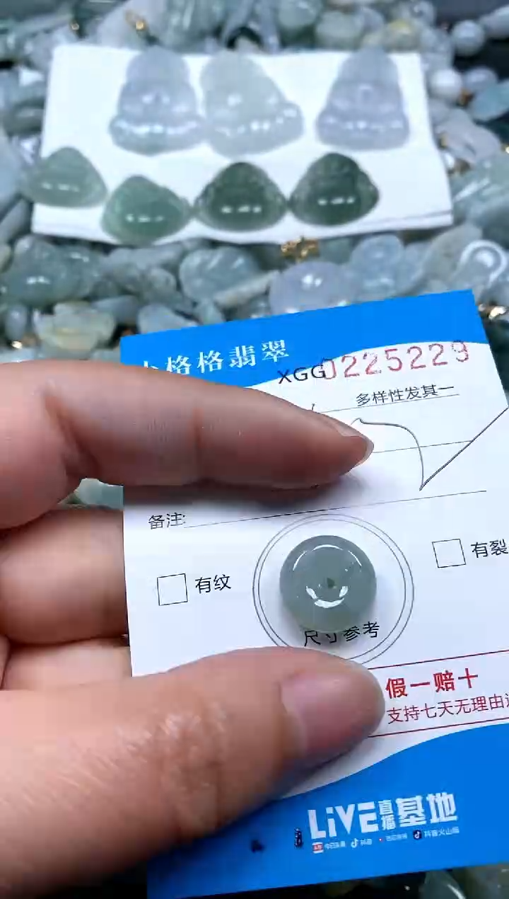 【闪购商品】翡翠颈饰未镶嵌闪购商品0225229