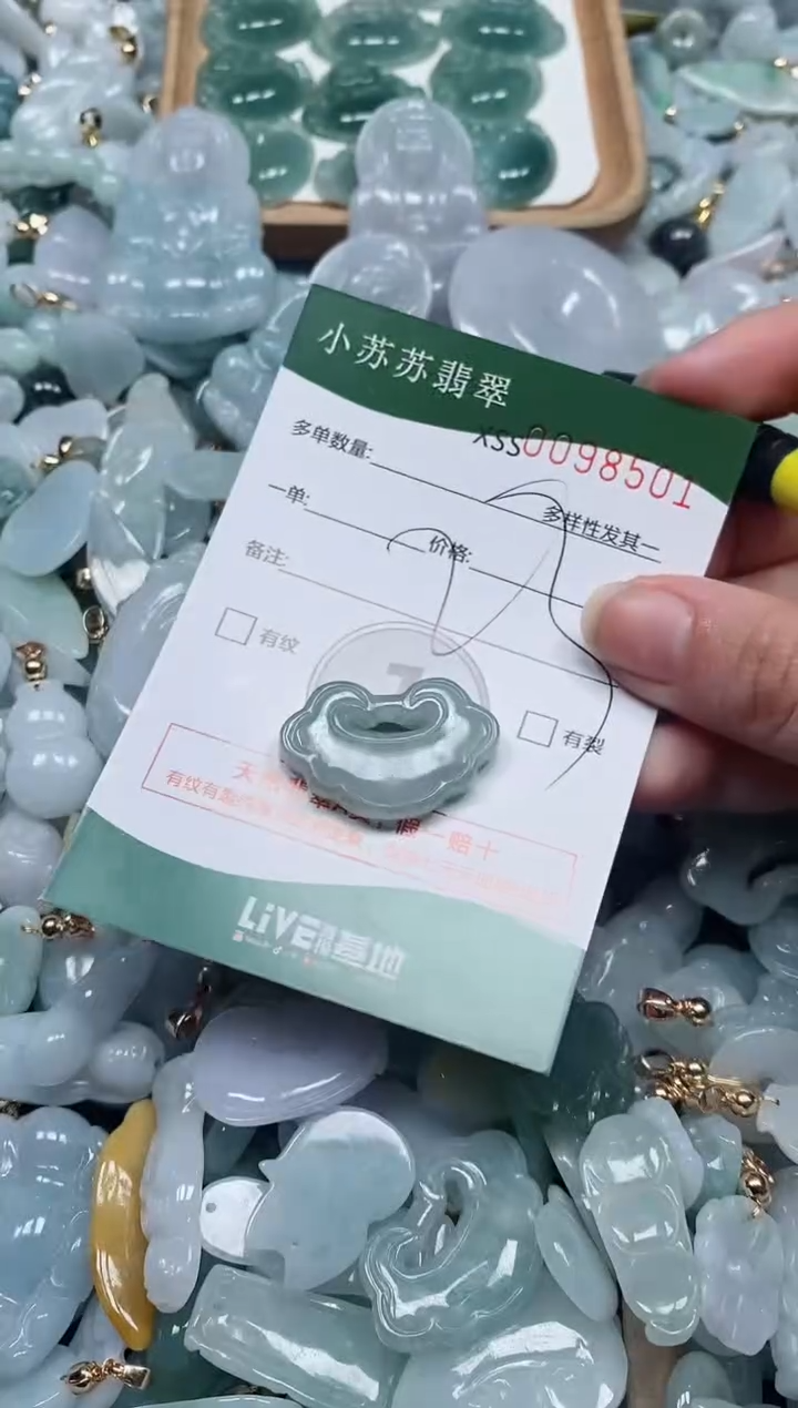 【闪购商品】翡翠颈饰未镶嵌闪购商品0098501