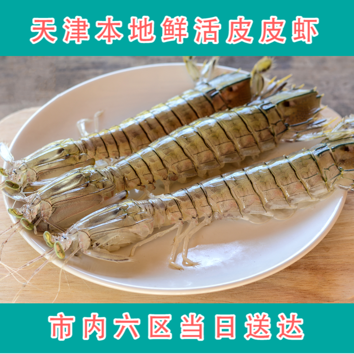 天津本地鲜活皮皮虾【保鲜 不保活】