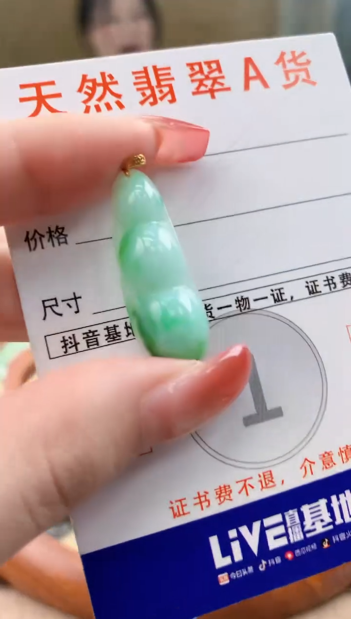 颈饰未镶嵌翡翠天然A货翡翠挂件