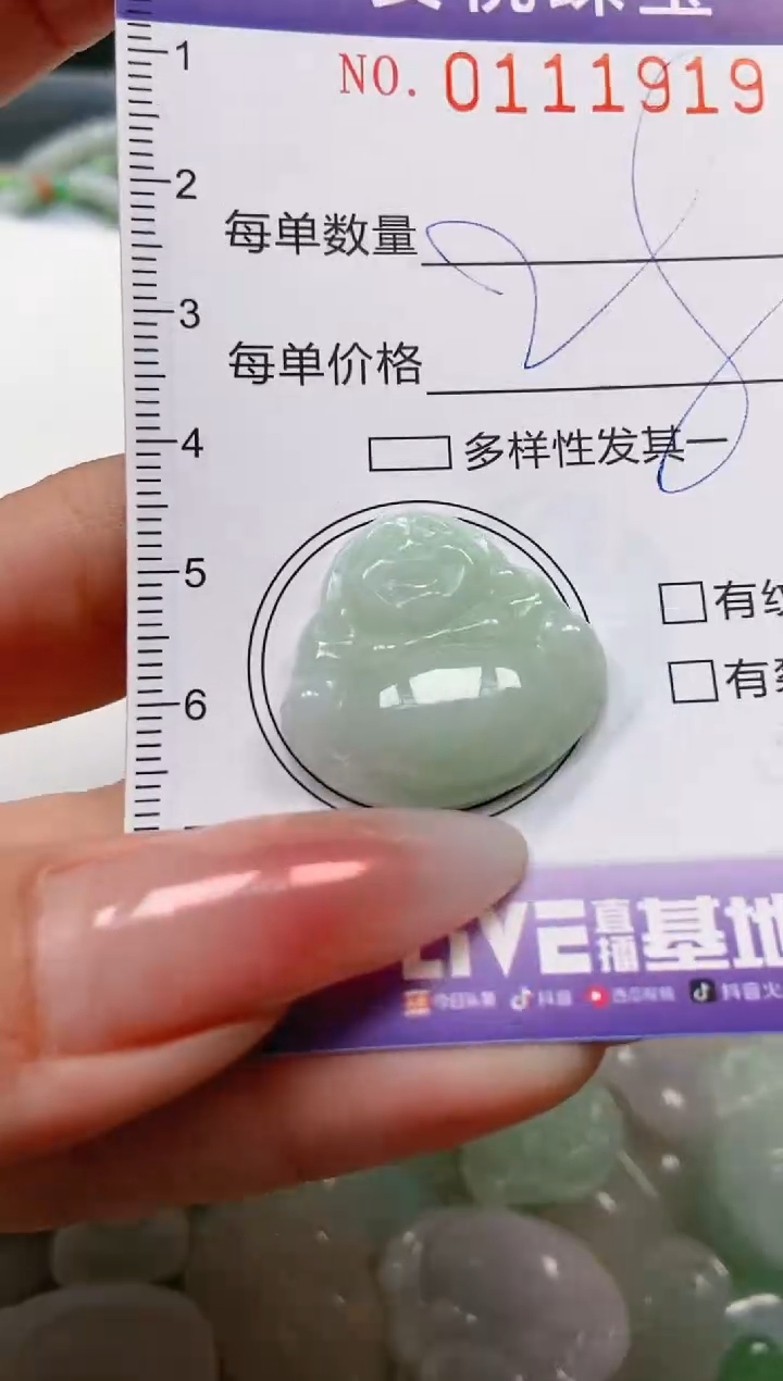 【闪购商品】翡翠颈饰未镶嵌闪购0111919