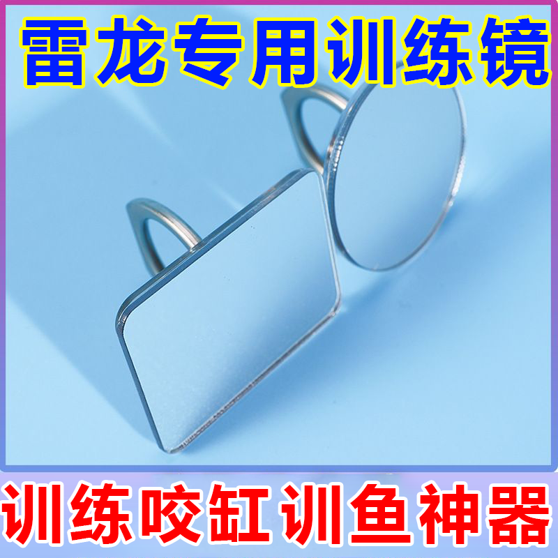 雷龙鱼训练泰国斗鱼环扣小镜子展尾鼓腮逗鱼棒神器小玩具水族用品