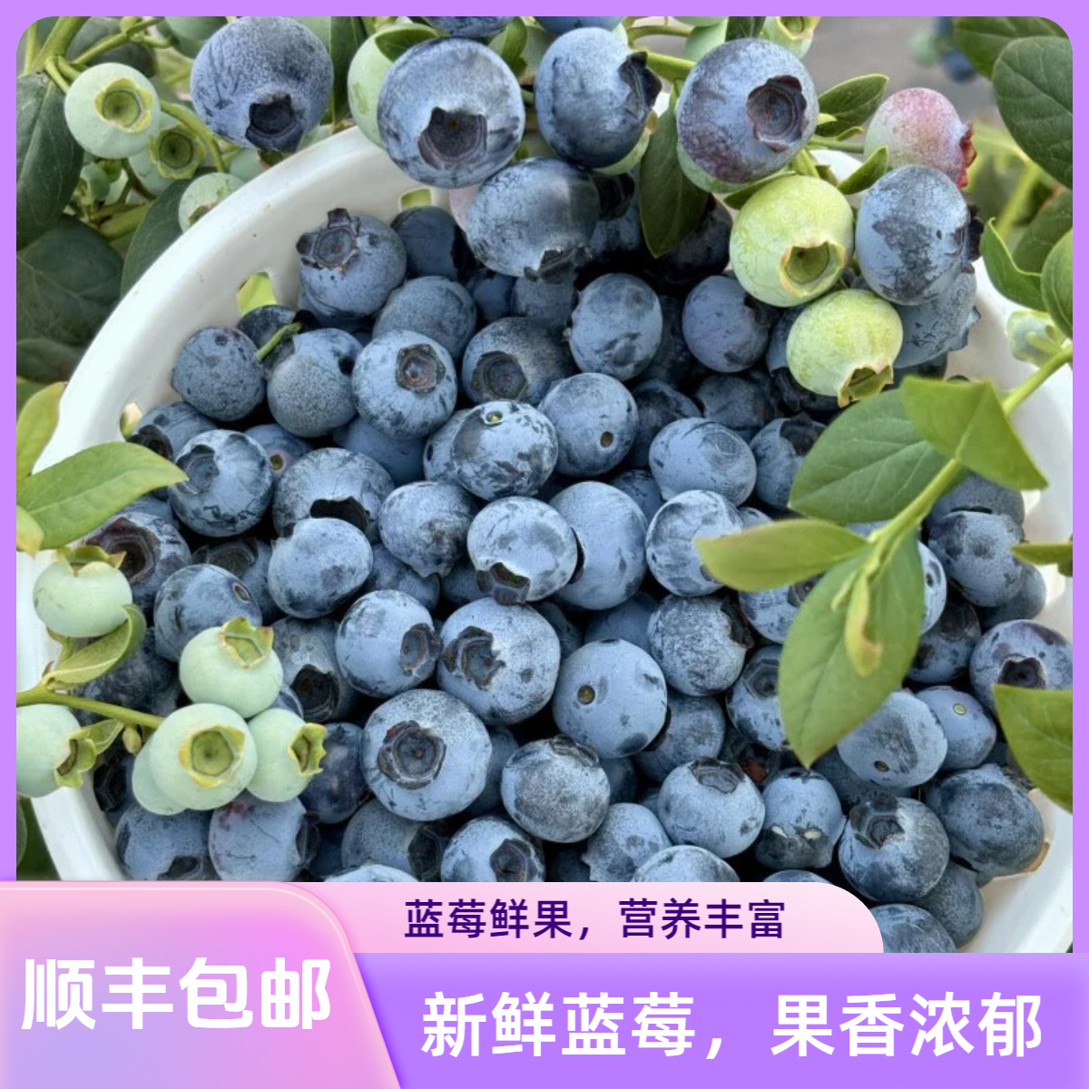 【买四盒送两盒】优选云南高原花香蓝莓应季新鲜水果产地直发包邮
